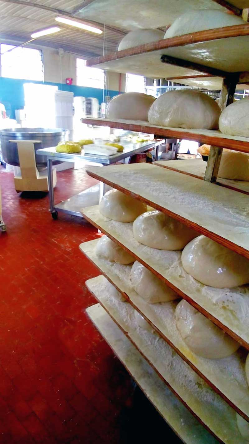 Panificio Rioveggio Bologna