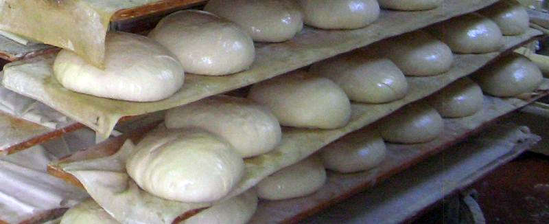 Panificio Rioveggio Bologna